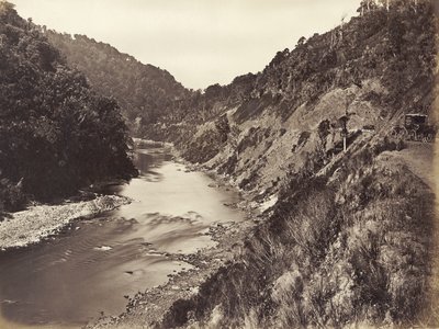 Manawatu Gorge 1 Mile from Bridge, 1878 by James Bragge